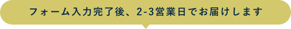 フォーム入力完了後、2-3営業日でお届けします。